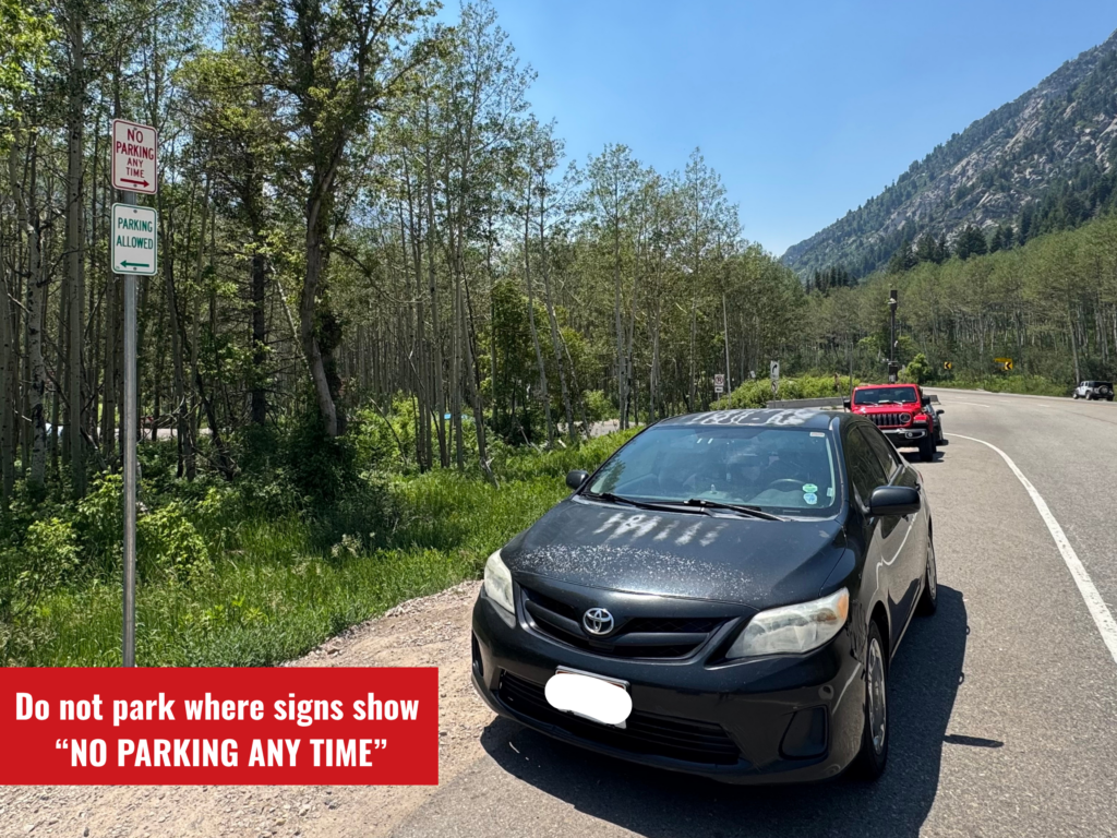 Vehicle parked in no parking zone on the roadside at White Pine in Little Cottonwood Canyon beneath signs indicating 'No Parking Any Time' to the right and 'Parking Allowed' to the left.