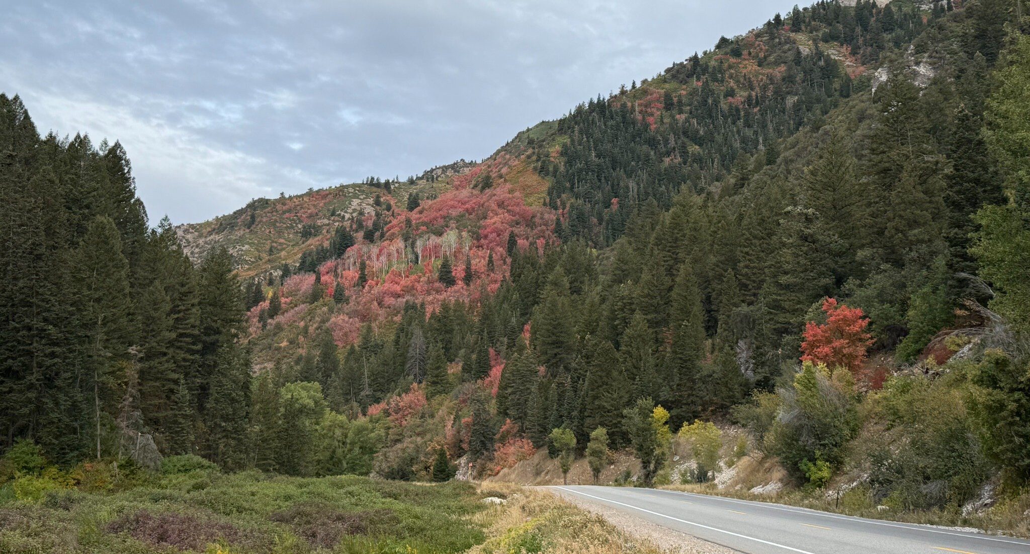 Featured image for “Your Guide to Leaf Peeping in the Cottonwood Canyons”