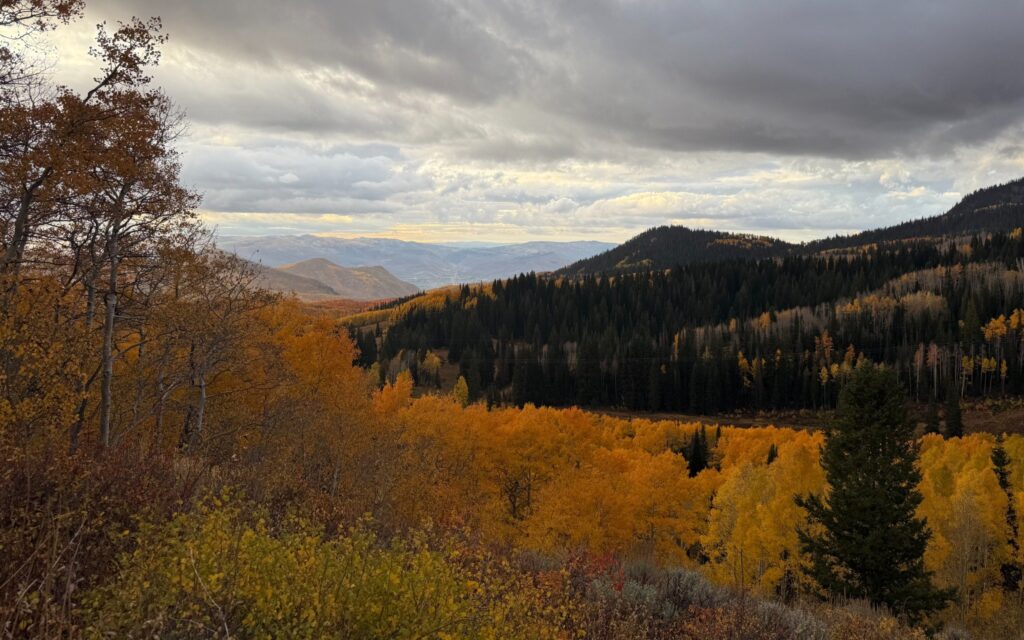 Golden fall foliage covers the mountainside below Guardsman Pass, with views toward Park City and the Heber Valley beneath a cloudy sky.